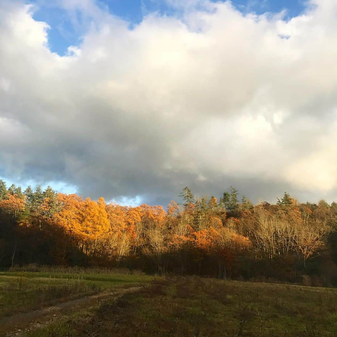 にしおかすみこさんのインスタグラム写真 - (にしおかすみこInstagram)「紅葉が綺麗だなあ。雲が低いなあ。。とひたすらぼんやりな時間。 #心が洗われる ロケの撮れ高は大丈夫だったかなあ。役にたったかなあ。褒められたいなあ。帰りの新幹線でポテトチップスとチョコをつまみに、炭酸をグビグビ飲みたいなあ。。 #そんなに簡単に洗われるもんじゃないなぁ」11月24日 22時00分 - nishioka_sumiko