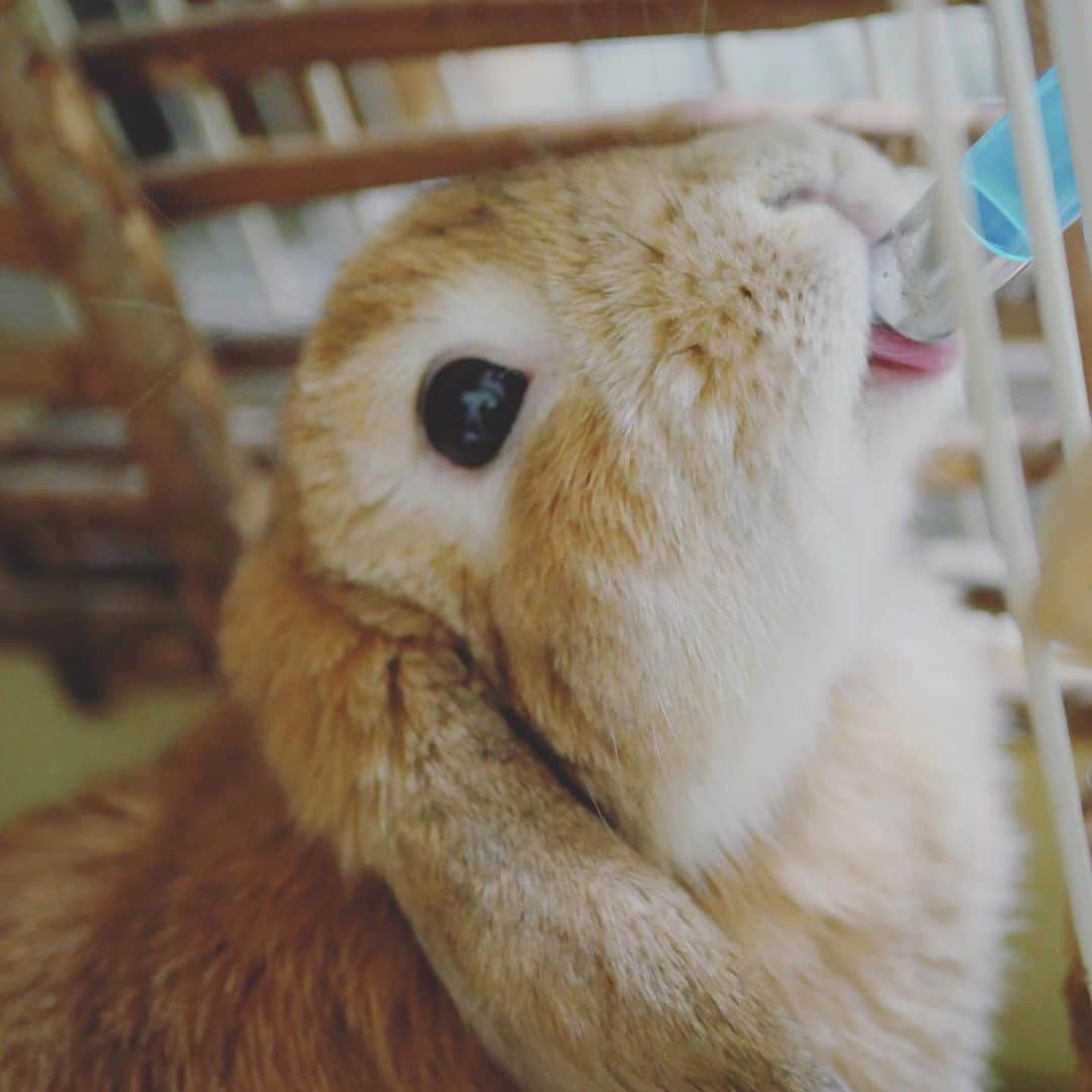 usagraphのインスタグラム