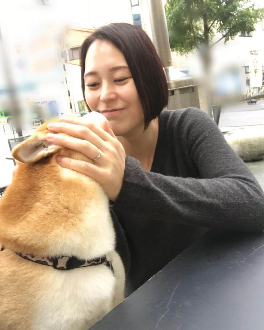 高橋みゆきさんのインスタグラム写真 - (高橋みゆきInstagram)「かなブンとランチしたよ〜🍕🥗近況聞けて良かった🎶頑張ってるかなブンです！笑 楽しかったぁ❣️ #クラ吉と初対面🐶 #早速何かくれる人🍎って認識しました🐶 #ランチ #話に夢中で料理冷めたよw #カナブン」11月24日 13時47分 - shin_miyukichi