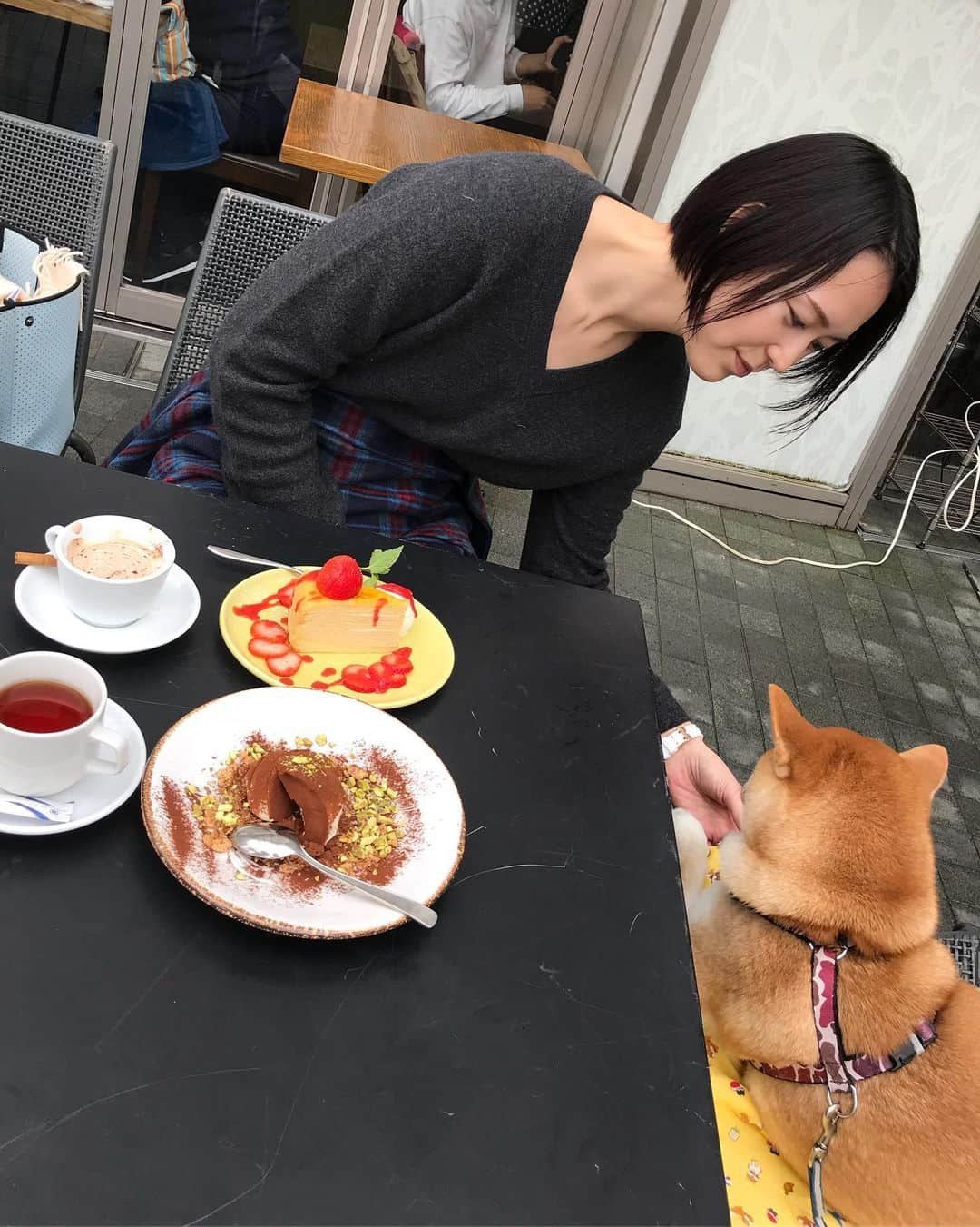 高橋みゆきさんのインスタグラム写真 - (高橋みゆきInstagram)「かなブンとランチしたよ〜🍕🥗近況聞けて良かった🎶頑張ってるかなブンです！笑 楽しかったぁ❣️ #クラ吉と初対面🐶 #早速何かくれる人🍎って認識しました🐶 #ランチ #話に夢中で料理冷めたよw #カナブン」11月24日 13時47分 - shin_miyukichi