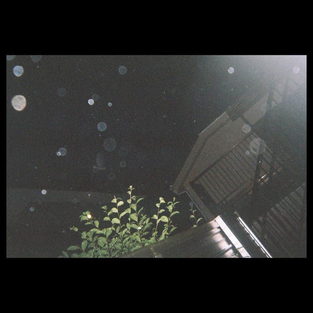 前田瑞貴さんのインスタグラム写真 - (前田瑞貴Instagram)「明日晴れるかな。 #film」11月24日 15時05分 - mizuki95nenumare