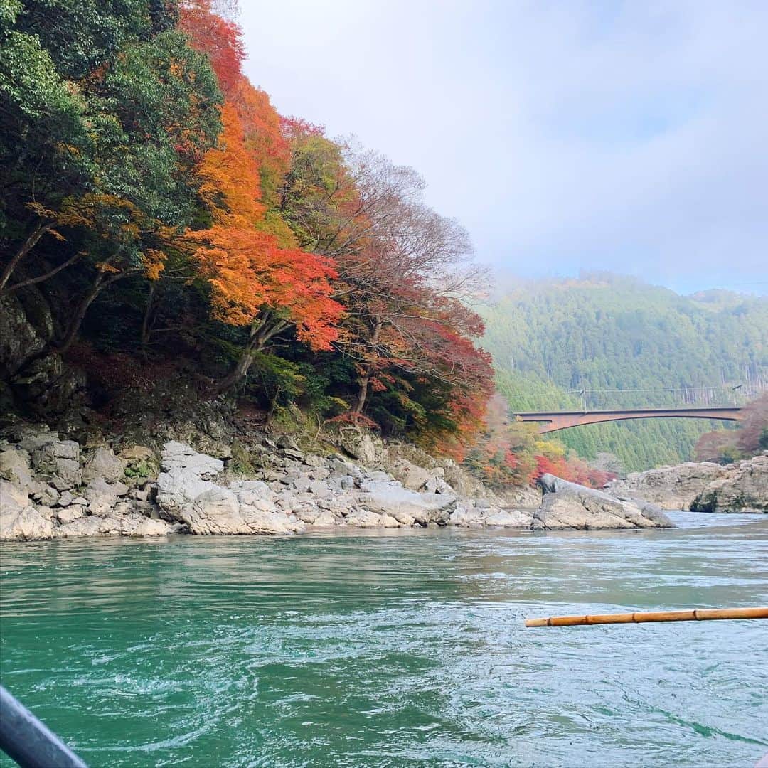 takegaeruのインスタグラム：「今週末は赴任地に残留で、天気も良かったのでおっさん1人旅 人が多くて中々足の遠のく観光地も早朝にさっと行って午前中のうちに戻ると言う贅沢を満喫してきました😃 #京都 #保津川下り  #竹林の小径  #天龍寺 #天龍寺庭園 #しゃかりきmurasaki 🍜」