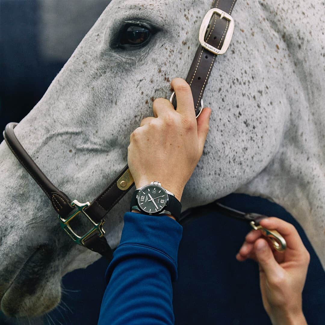 ロンジンさんのインスタグラム写真 - (ロンジンInstagram)「Final preparation for the weekend’s highlight trial, the Longines Global Champions Tour Super Grand Prix. #ConquestVHP #EleganceisanAttitude」11月24日 16時11分 - longines