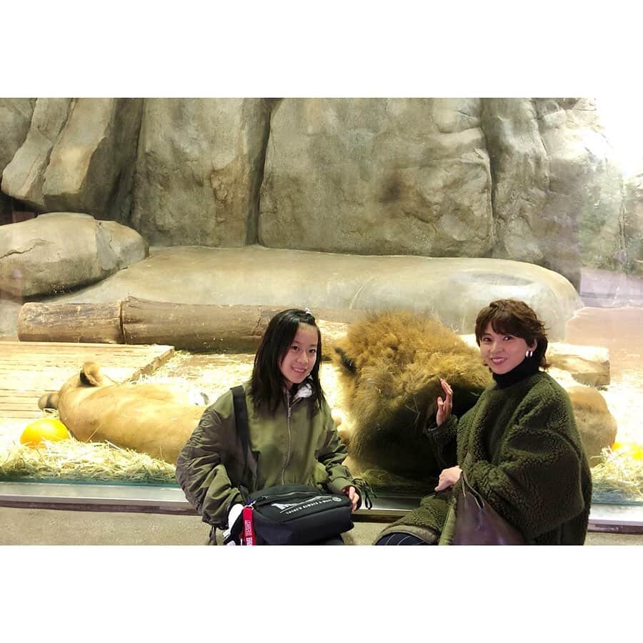 森下紀子さんのインスタグラム写真 - (森下紀子Instagram)「. 昨日は生憎の天気でしたが、 愛しの姪っ子と 横浜ズーラシアへ！  将来の夢は 水族館でイルカ担当になりたいという 大の動物好きの姪っ子が、  目をキラキラ輝かせて 動物と触れ合う姿に、  こちらまで笑顔になってしまいました♡ . #横浜ズーラシア🐘🐅 #また動物園行こうね #Penguin」11月24日 16時14分 - noriko_morishita_