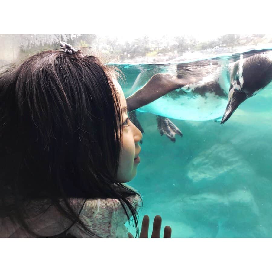森下紀子さんのインスタグラム写真 - (森下紀子Instagram)「. 昨日は生憎の天気でしたが、 愛しの姪っ子と 横浜ズーラシアへ！  将来の夢は 水族館でイルカ担当になりたいという 大の動物好きの姪っ子が、  目をキラキラ輝かせて 動物と触れ合う姿に、  こちらまで笑顔になってしまいました♡ . #横浜ズーラシア🐘🐅 #また動物園行こうね #Penguin」11月24日 16時14分 - noriko_morishita_