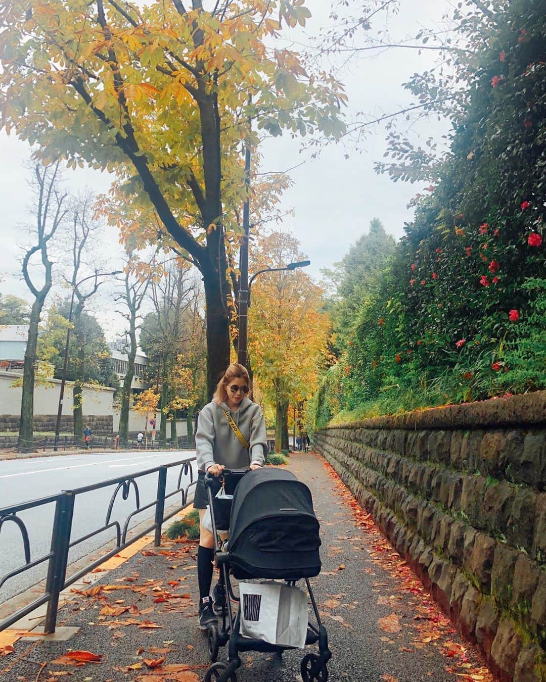 山脇道子さんのインスタグラム写真 - (山脇道子Instagram)「やっと雨が止んだからお散歩🍂」11月24日 16時25分 - michikoooo