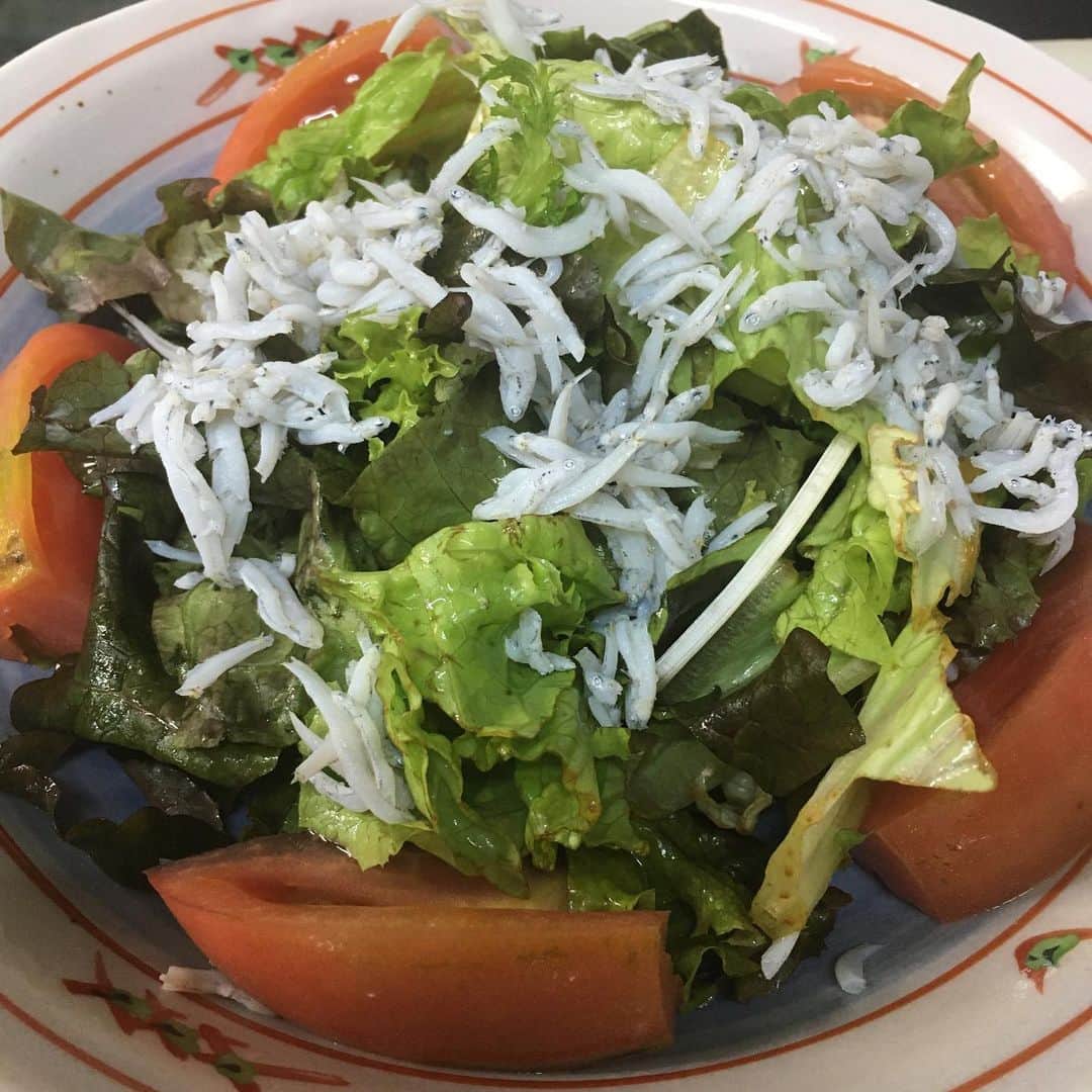 のインスタグラム：「お疲れ様です。 シラスサラダ🥗🥗山葵ドレッシング 本日一食即発最終日。 本日もよろしくお願いします🤲🥺 #生牡蠣#いくら#北海道知床漁場天神橋店#北海道料理#北海道日本酒#北海道グルメ＃天神橋筋5丁目#出汁巻たまご#海鮮居酒屋#天満」