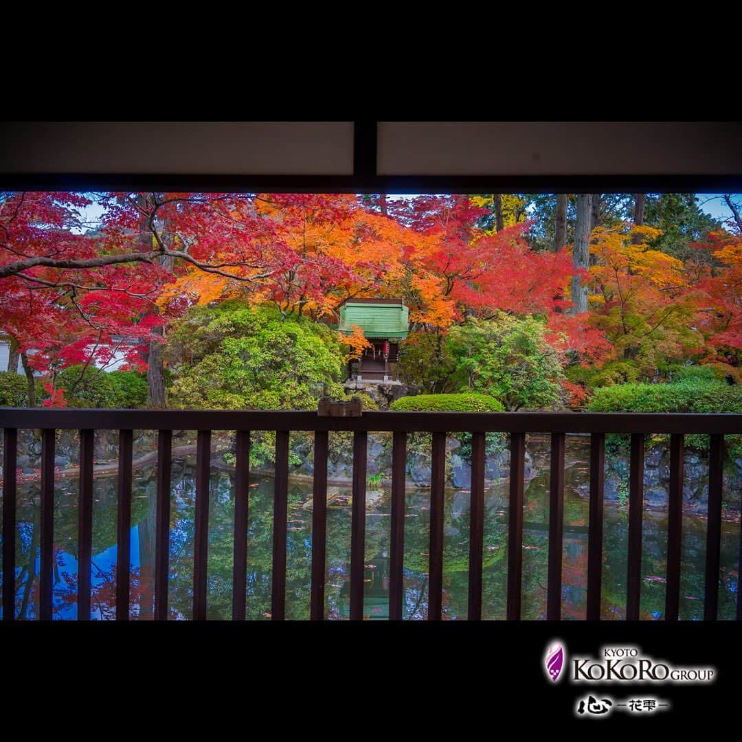 心－花雫－のインスタグラム