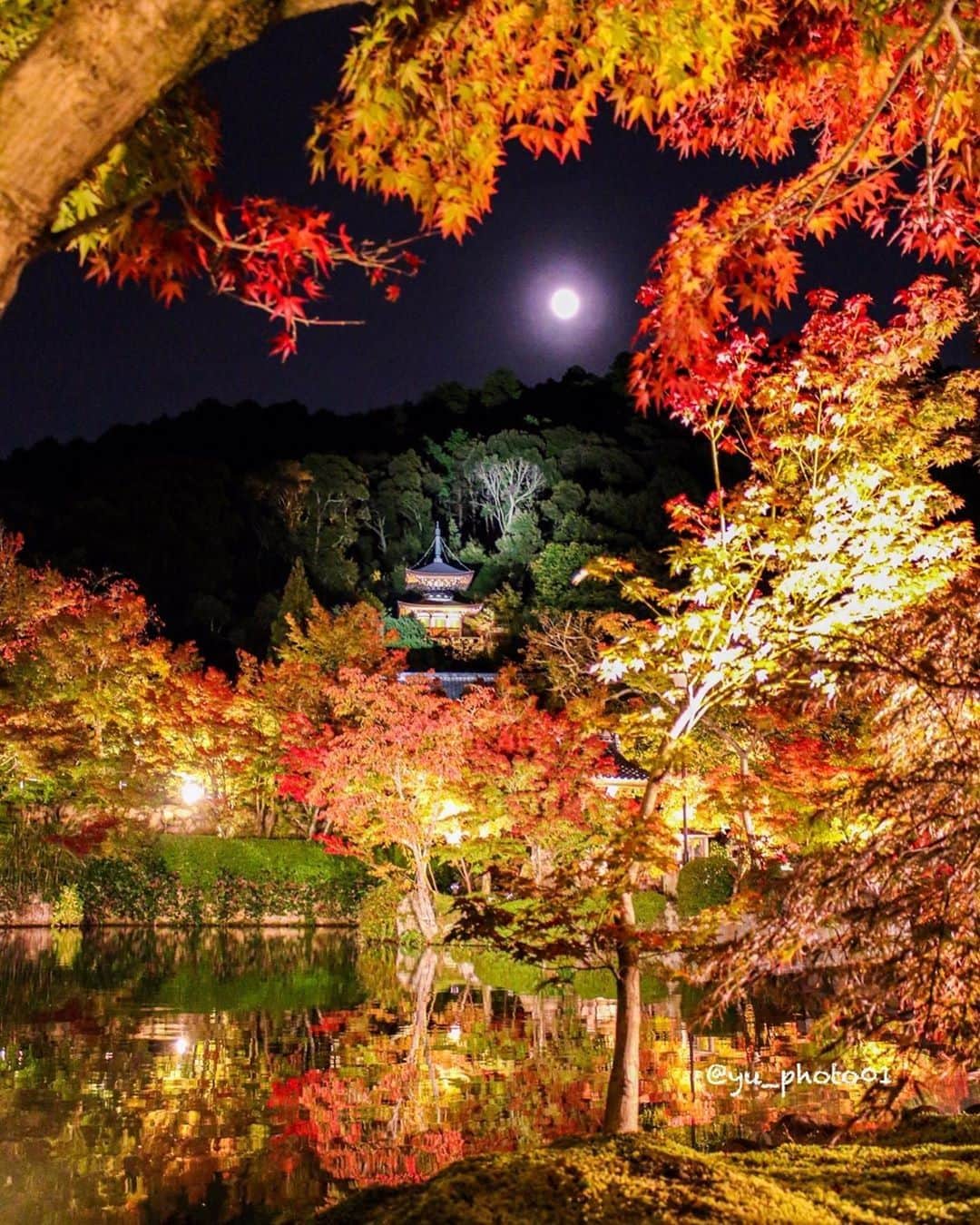 楽天トラベル さんのインスタグラム写真 - (楽天トラベル Instagram)「#京都 #永観堂 「もみじの永観堂」とうたわれる紅葉の名所。 約3000本のイロハモミジやオオモミジが境内一帯を彩りますよ。 . ■ライトアップ■ 2019年11月6日（水）～12月4日（水） 17：30～21：00（受付終了20：30） . Special Thanks💓 📸Photo by @yu_photo01 . ************************ 旅先で撮った素敵な写真に 場所とともに #rakutentravel を付けてシェアしてね♪ 厳選してこのアカウントで紹介させていただきます！ ************************ . #楽天トラベル #旅 #旅行 #旅に出よう #旅行好きな人と繋がりたい #日本 #紅葉 #京都旅行 #禅林寺 #travel #trip #japan #instagramjapan #IG_JAPAN #japantrip #lovetraveling #lovers_nippon  #kyoyotrip」11月24日 18時00分 - rakutentravel