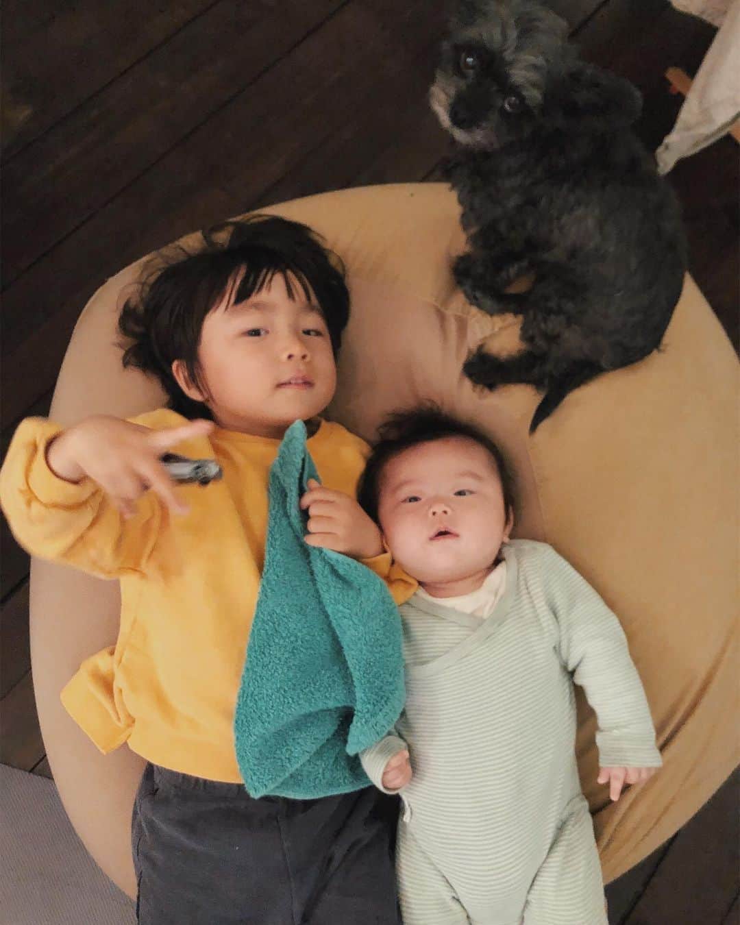 金子渚さんのインスタグラム写真 - (金子渚Instagram)「3ショット🧒🏻👶🏻🐶目線頂きました！ . 3人の関係性が可愛い毎日♡ のーくんはきーちゃんにとっても優しいです。 こっちゃんはのーくんに厳しいです。 きーちゃんは無です。」11月24日 18時59分 - nagisakaneko