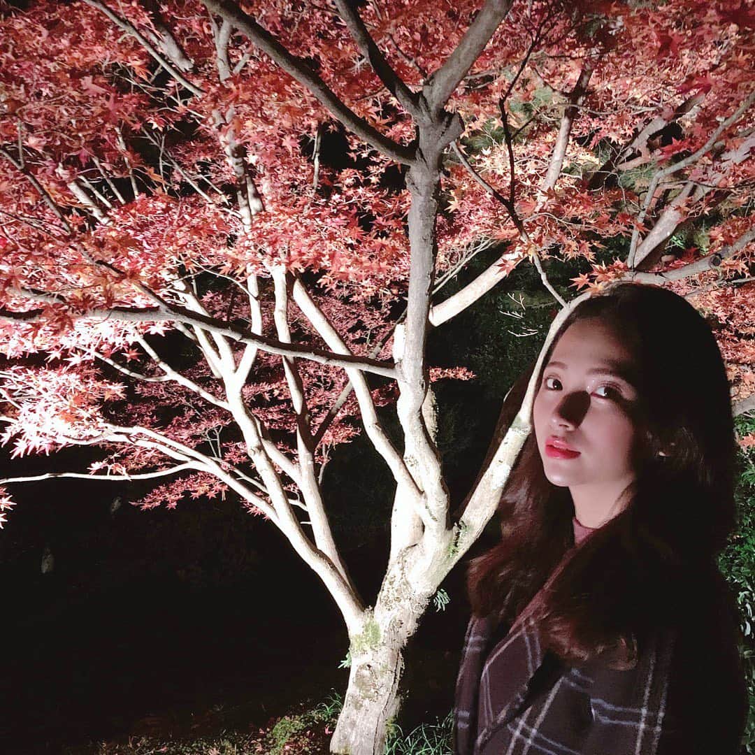 街山みほさんのインスタグラム写真 - (街山みほInstagram)「夜の紅葉が素敵でした🍁✨﻿ ﻿ #街山みほ #旅行 #紅葉 #綺麗 #金沢 #兼六園 #ライトアップ #旅女 #travel #beautiful」11月24日 19時09分 - machiyamamiho