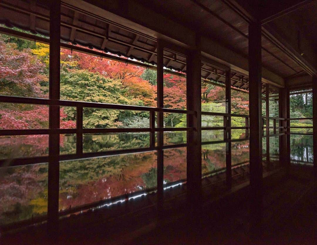 詩歩のグルメインスタ