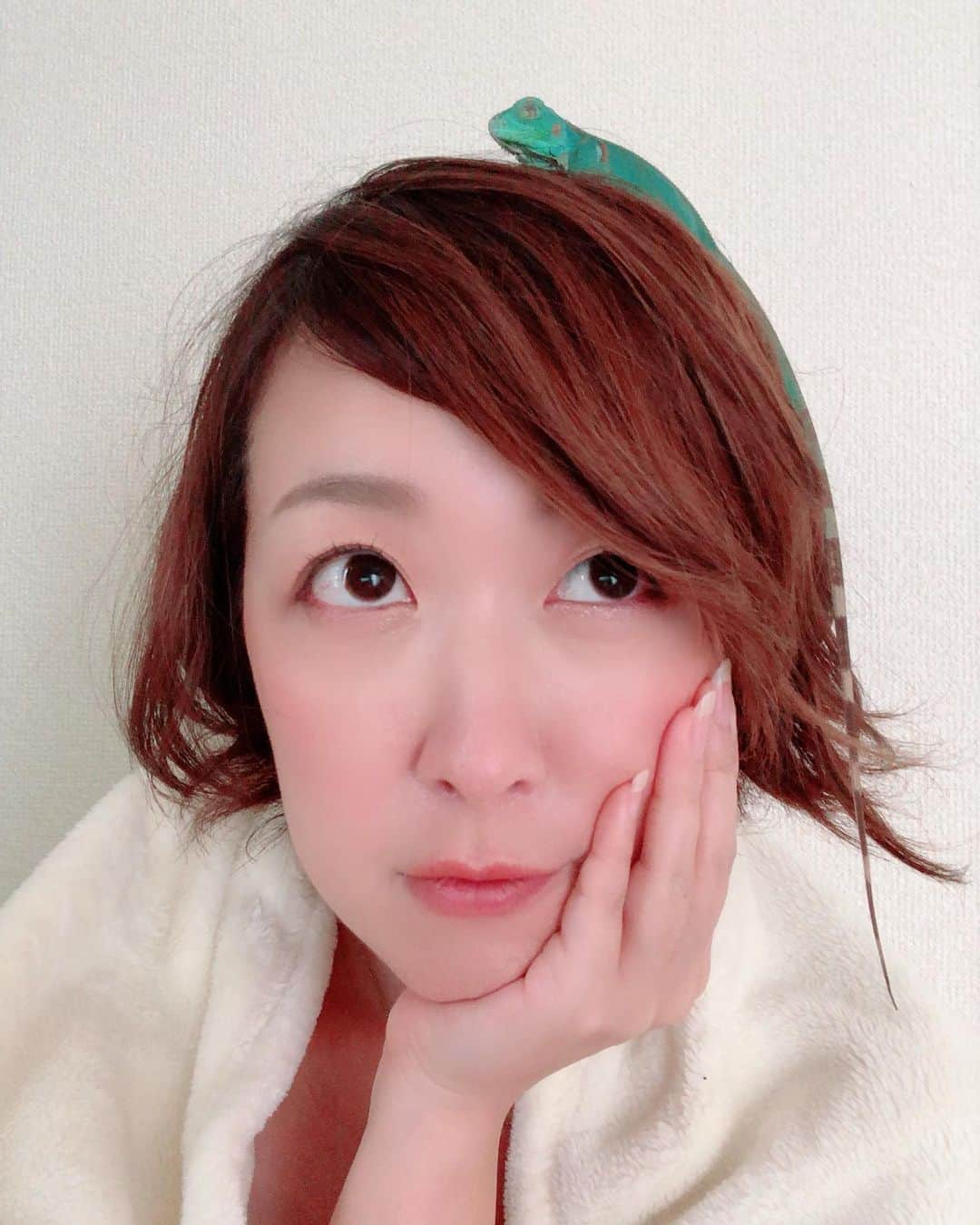 蛯原天のインスタグラム：「‪ナマステが亡くなりました。‬﻿ ‪つい先日もりもり脱皮したばかり、段々と気を許してくれるようにもなっていたのですが。‬﻿ ﻿ ‪昨朝自力で立てなくなり、病院へ駆け込みましたが、今朝旅立ちました。‬﻿ ‪今はただ、飼い主として不甲斐なくて、茫然とケージを眺めながら、自責の念に駆られています。‬﻿ ﻿ ‪成長を見守ってくれていた方も多くいらっしゃいました。﻿ ナマステ、本当にごめんなさい。‬﻿ 皆様、本当にごめんなさい。」
