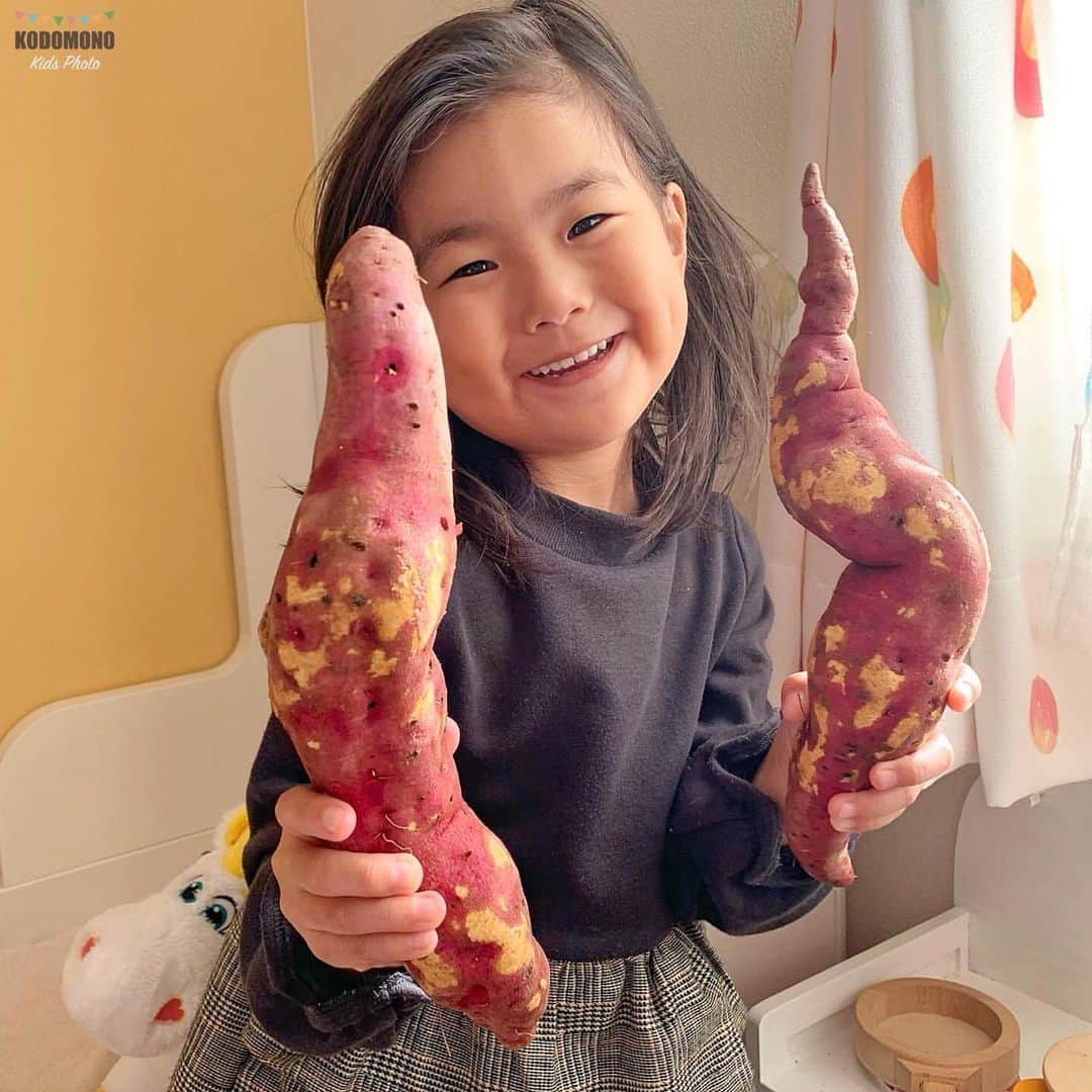コドモノ！写真部さんのインスタグラム写真 - (コドモノ！写真部Instagram)「🕊💕 今回ご紹介するのは @serenmom さんの投稿です。 . ▽ 芋掘り🍠 △ . さつま芋をとても優雅に紹介してくれる女の子✨✨ このあと美味しいスイートポテトになったようです🙆‍♀️ . @serenmom さん「#コドモノ」のハッシュタグ付けありがとうございました。 . お子様のカワイイ姿、面白い瞬間、なんとも言えない表情などなど毎日募集中！@kodomono_photoをフォローの上、#コドモノ をつけて投稿してください💕 素敵な写真や動画はコドモノ！写真部がフィーチャーさせていただきます。 . 🍼画像や動画は投稿者様に許諾を得てコドモノ！写真部に掲載しています。ご本人以外の無断転載はお控えください。 . ▼▽▼投稿毎日募集中▼▽▼ . #女の子 #こどものいる暮らし #子供 #親バカ部 #園児 #子育て #育児 #幼児 #秋 #芋掘り #さつまいも #美味しそう」11月24日 19時52分 - kodomono_photo