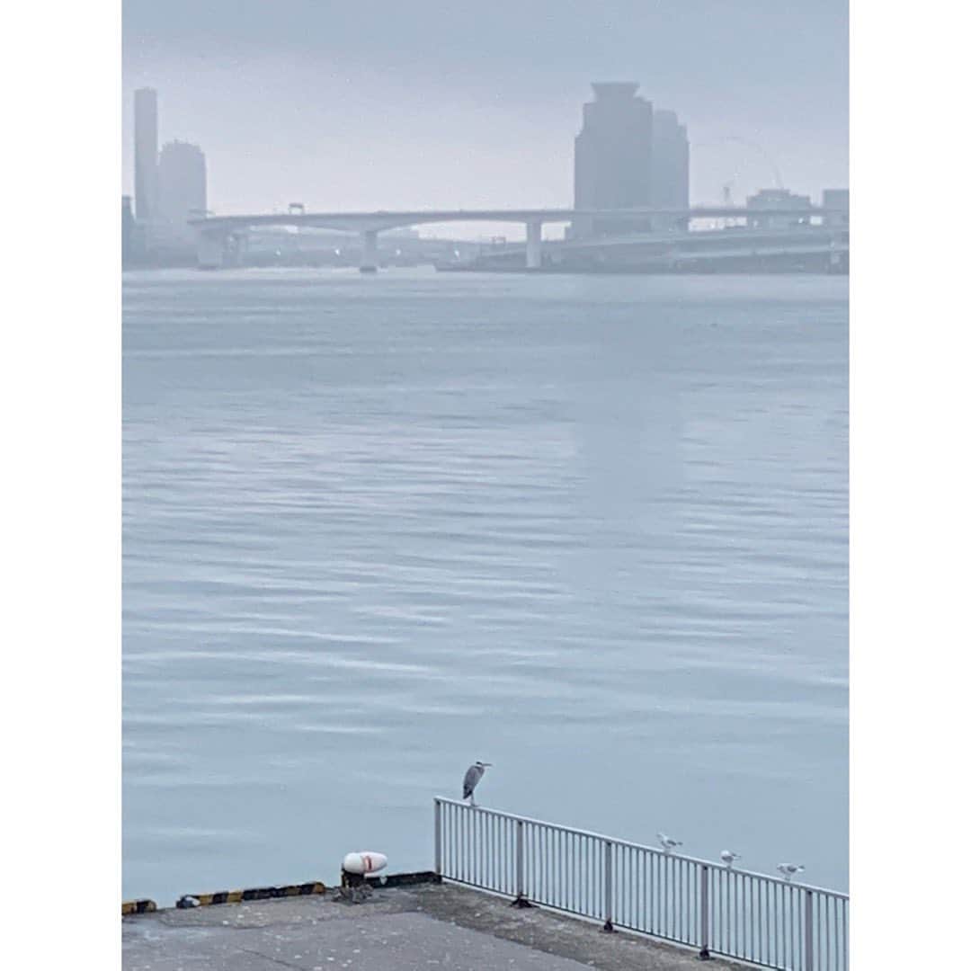 中西圭三さんのインスタグラム写真 - (中西圭三Instagram)「11/25 Goooood morning TOKYO！ おはようございます！ 気温16℃ 濃霧の朝となりました。 何だか喉には良さげなしっとりした空気です。なかなか日の出に立ち会えてませんが、今日も燦々と心輝かせて過ごしましょ☀️😉 #朝日 #朝焼け #日の出 #goodmorning  #PH+OTO #心を窓と一緒に開けて #おはよう」11月25日 7時00分 - keizo1111