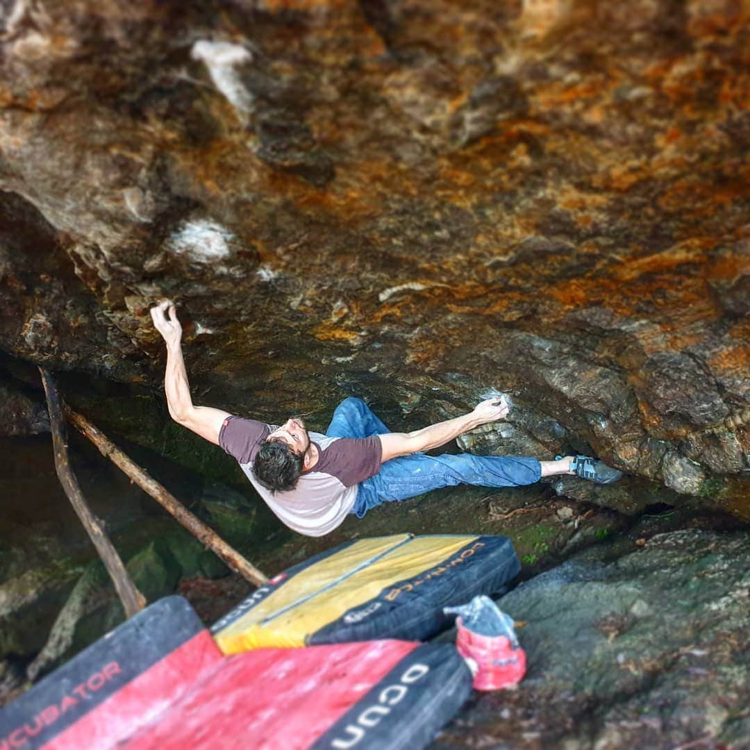 のインスタグラム：「Blair witch project, 8a+ ...or how to fight terrible conditions 😅. • @ocun.climbing @scarpaspa @vibram」