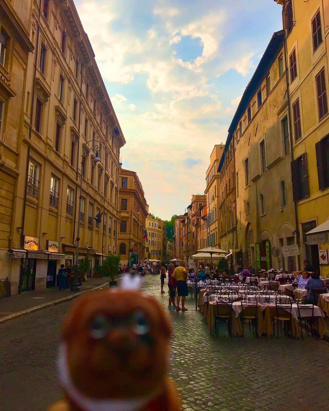 ころのインスタグラム：「ころツーリスト in #イタリア (#ローマ ) .  おはようございます☀ . 石畳のカフェ🍰 . ヨーロッパと言えば特徴的なのがこの石畳ですよね。 . ここのカフェで食事をした訳では無いのですがお洒落なので写真を撮ってしまいました😊 . 車が石畳を通ると独特の音がするのですが、きっとヨーロッパに住んだ事のある人からすると懐かしい音なんだろうなぁと思いながら聴いていました😊🎶🎶 .  ころの他の写真を見たい方はこちらから！  @koro.dottokoi .  #ころツーリスト #旅 #旅日記 #旅スタグラム #旅すたぐらむ #トラベラー #旅に出たい #旅の記録 #旅好き #旅写真 #旅行好き #旅したくなるフォト #旅フォト #マイトリ #旅行大好き #わんこ #ぬいぐるみ #ぬいどり #ぬい撮り写真部 #マイトリップ #旅の思い出 #旅の思い出 #ぬい撮り #ぬい撮りさんと繋がりたい #ぬいすたぐらむ」