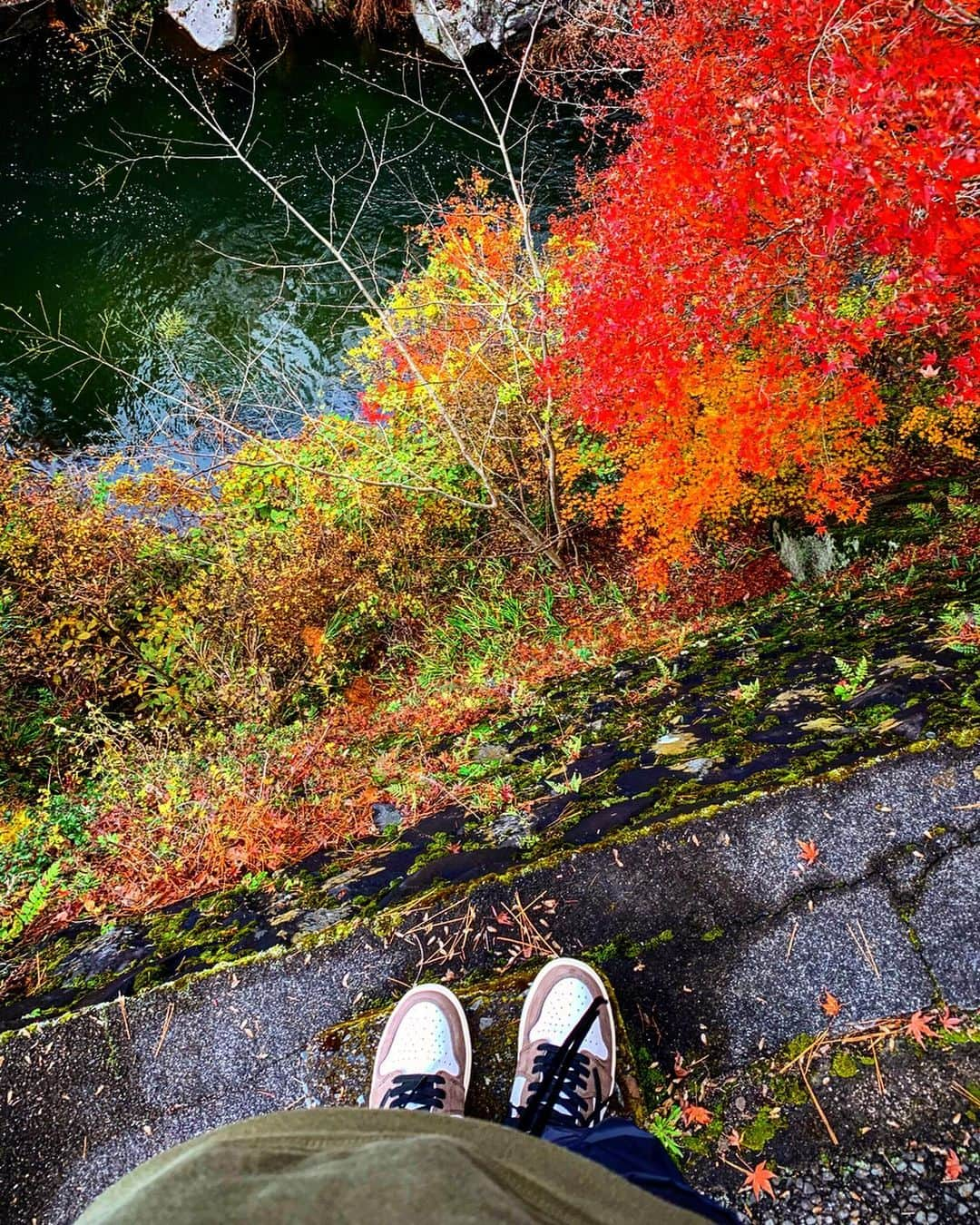 イルマニアさんのインスタグラム写真 - (イルマニアInstagram)「山梨まで紅葉見に行こうよう🍁🍁🍁 ・ ・ 紅葉もよかったけど滝と岩がめっちゃいい感じだったわ✨ ・ ・ 自然にできたものって思うと尚更凄い✨ ・ ・ 帰りは「ほうとう」食べたんだけど味噌汁うどんて感じで温まったわ💖 ・ ・ p.s 足場が濡れてて靴汚れたから車戻ってすぐ靴拭きましたwww←共感者コメント📝 ・ ・ #イルマニア#mcma#紅葉#昇仙峡#山梨#ほうとう#味噌汁#うどん#味噌汁うどん#仙娥滝 #supreme#chromeheart#fearofgod #nike#travisscott #jordan#jordan1#louisvuitton #lv」11月25日 7時24分 - mcma0821