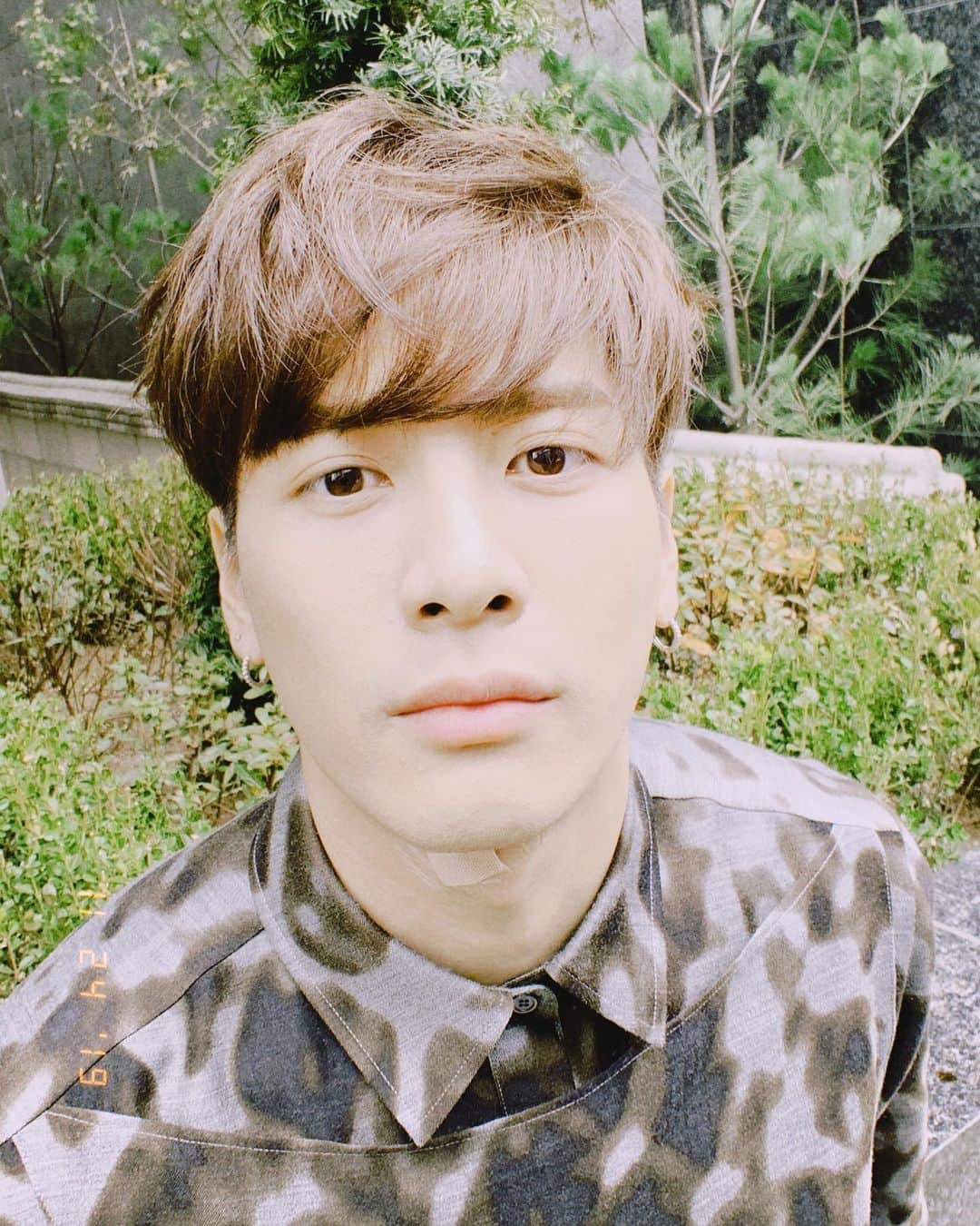 ジャクソンさんのインスタグラム写真 - (ジャクソンInstagram)「🌲🌳🌱🌿🍃 #jacksonwang #잭슨 #王嘉爾」11月24日 22時40分 - jacksonwang852g7