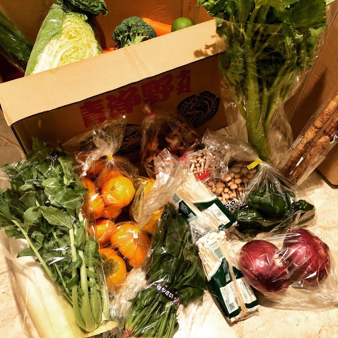 奥井雅美さんのインスタグラム写真 - (奥井雅美Instagram)「野菜を買ったらすごい量のお野菜が届いてしまいました🥕🥒🥦🍄 1人じゃ食べきれないので、 お友達や仲間のお家に配達しました☺︎ 特に🥕は10キロ届いたので、３０本くらい配りました😅 無農薬で、形も不揃いな昔ながらの🥕はスーパーで並ぶ🥕よりも濃厚な味がします。 そして傷むのも早いからー せっせと消費をしなくちゃ！と今日はキャロットケーキをつくりました。 でもひとつめは焦げちゃった😭我が家のオーブンはノンフライオーブンなのでクッキーやケーキには不向きと後々知りました😞 めげずに二個目に挑戦！ やぱ底がちょっと焦げたけど、さっきよりマシ❤️ ・ ・ #人生で初めて作った #ホットケーキミックスで #人参すりおろすの疲れた」11月24日 22時54分 - masamiokui