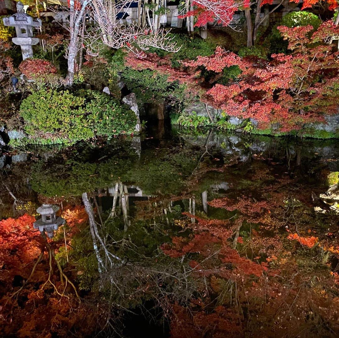 青柳昴樹さんのインスタグラム写真 - (青柳昴樹Instagram)「清水寺ライトアップ🍁 #清水寺#ライトアップ#紅葉 #人多すぎ#京都」11月24日 23時00分 - kouki_57