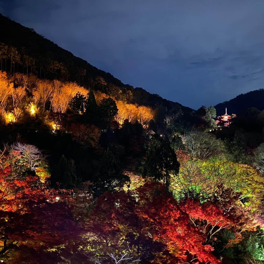 青柳昴樹さんのインスタグラム写真 - (青柳昴樹Instagram)「清水寺ライトアップ🍁 #清水寺#ライトアップ#紅葉 #人多すぎ#京都」11月24日 23時00分 - kouki_57