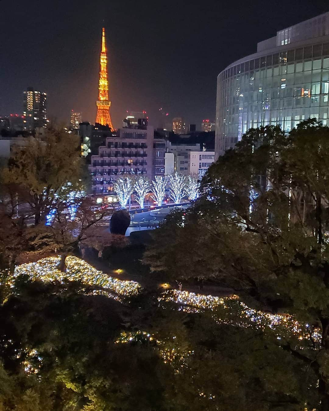 川原ちかよさんのインスタグラム写真 - (川原ちかよInstagram)「明日からも頑張ろう  って、 ここから東京タワーを見ると、 いつも思います。  なので、エネルギーをチャージしたい時は、 例え一瞬でも寄ります。  さぁ、 明日からも頑張ろう」11月24日 23時04分 - chikayo_baby