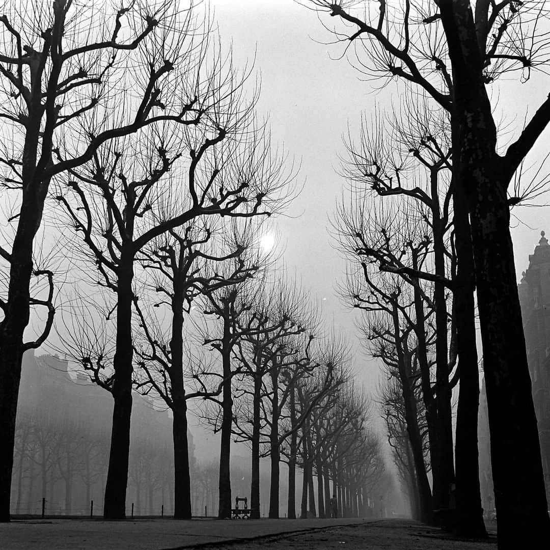 lifeさんのインスタグラム写真 - (lifeInstagram)「A foggy day in Paris, France - 1953. (Thomas D. McAvoy/The LIFE Picture Collection © Meredith Corporation) #VintageLIFE #Paris #France」11月24日 23時51分 - life
