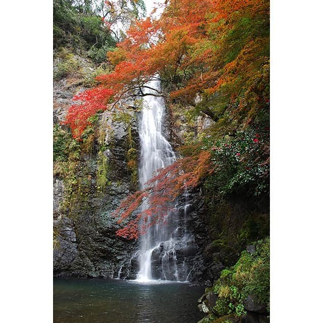 藤谷壮仁郎のインスタグラム