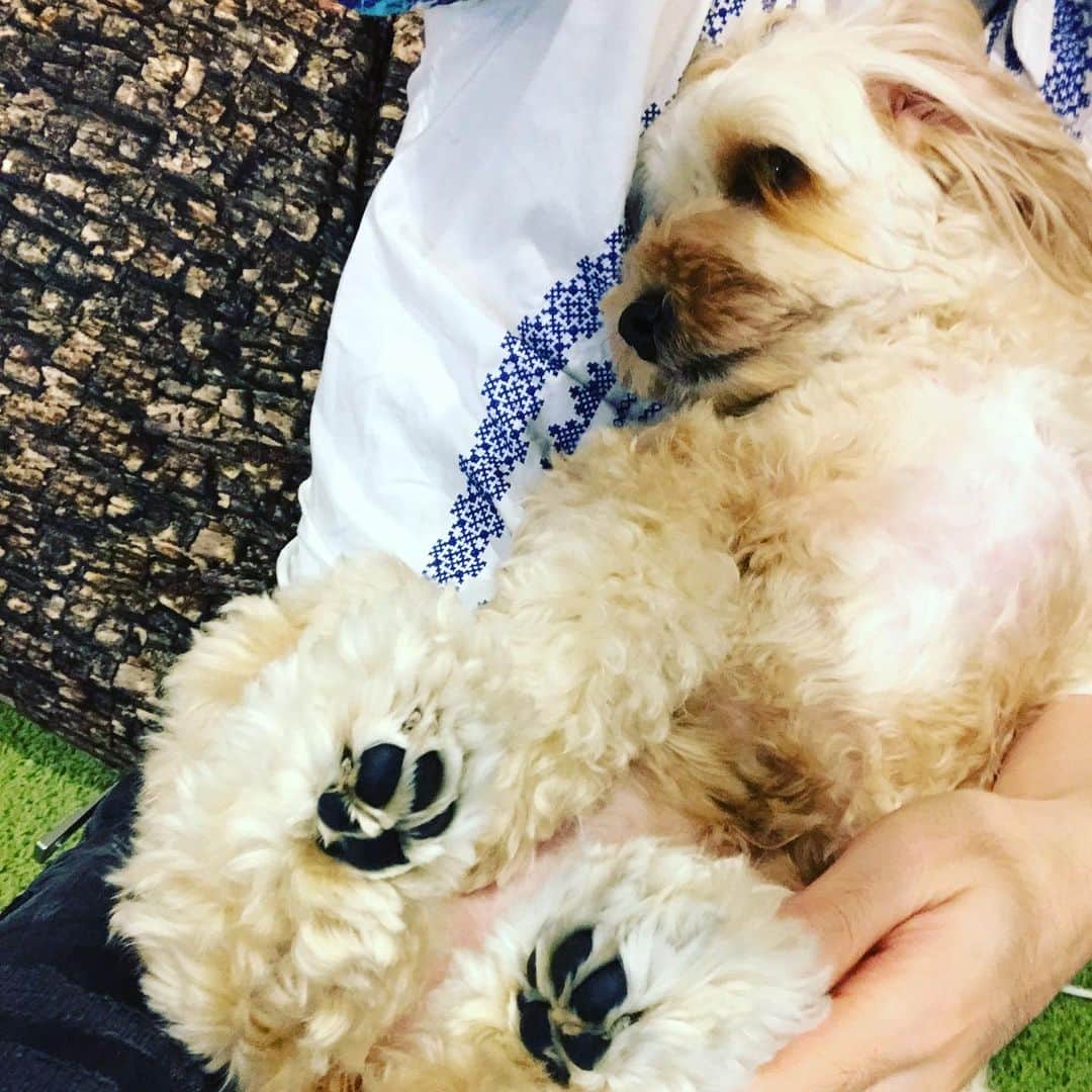 北山陽一のインスタグラム：「にくきう。#きたやまおかき」