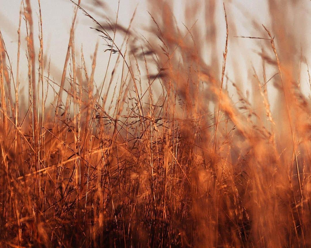 リリー＝ローズ・メロディのインスタグラム：「Hope you all had a wonderful weekend 🌾 #colorsandtextures」