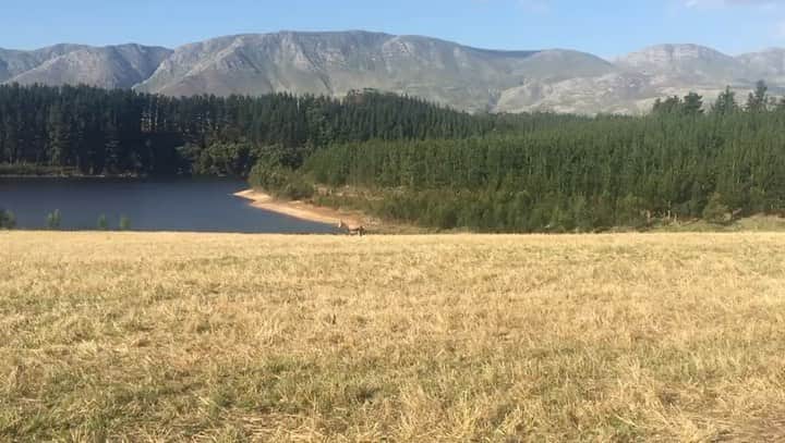 のインスタグラム：「Bye South Africa! What a magnificent country.」