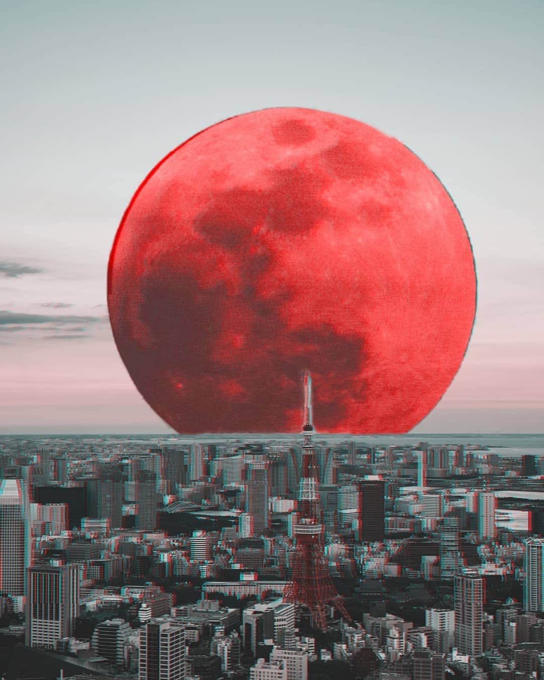 Shapicalのインスタグラム