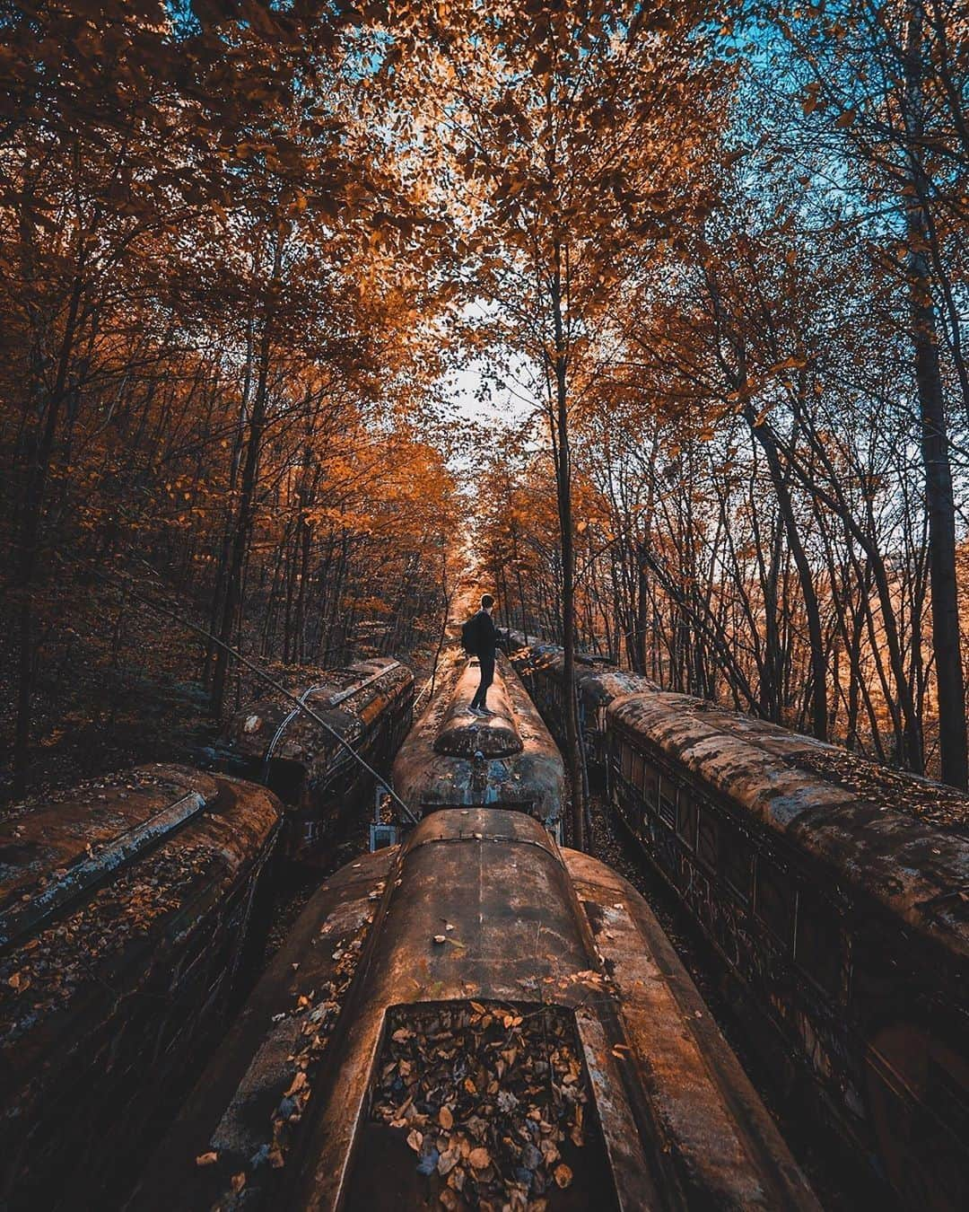 Abandoned Placesさんのインスタグラム写真 - (Abandoned PlacesInstagram)「An old train collection decaying away in the woods. Photography by @joe_moco」11月25日 2時49分 - itsabandoned