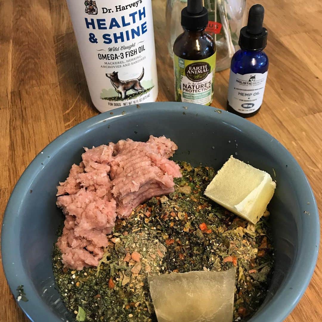 Dogs by Ginaのインスタグラム：「Sunday brunch 🙌🏼✨ . Dr Harveys Health & Shine & Super Food Mix . Primal Goats Milk & Beef Bone Broth (frozen cubes) . Holistic Hound CBD Hemp Oil . Earth Animal Daily Herbal Drop (flea protection) . All items pictured can be purchased at the shop!」