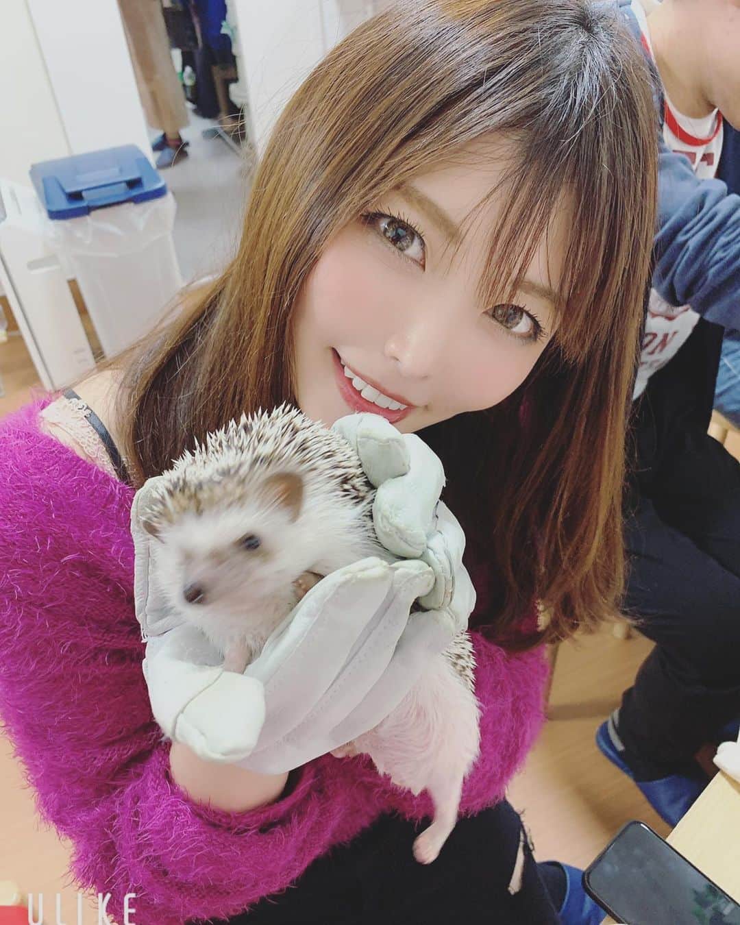 新村あかりのインスタグラム：「ハリネズミ初めて触った〜！！！ 見た目どおりトゲトゲ痛いーーー！😂 #ハリネズミ」