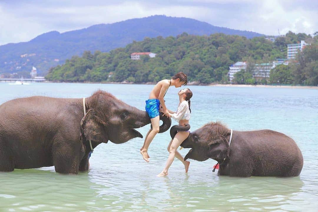 タイ国政府観光庁さんのインスタグラム写真 - (タイ国政府観光庁Instagram)「⠀ ／⠀ 🇹🇭タイでどこ行く❓何する❓⠀ 今月のオススメは...😎✨⠀ ＼⠀ ⠀ 📍プーケット⠀ 🌟今週のテーマ：今注目のスポット⠀ ⠀ 今注目のスポットは、象と一緒に水遊びができる「トライトランビーチ」🏖⠀ ⠀ プーケットで一番賑わうパトンビーチから車で約10分ほどのところにあるトライトランビーチの一角では、子供の象から大人の象まで複数の象が暮らしていて、象と一緒に遊んだり写真撮影をすることができます🐘✨ちなみに、こちらは日本人の間ではラッキービーチと呼ばれることも🌟⠀ ⠀ 現地ツアーに参加して訪問するのがおすすめ☺️⠀ ⠀ 📷Photo by @pinatubo さん⠀ ⠀ #タイ #プーケット #タイビーチ #ラッキービーチ #パトンビーチ #象 #エレファントスイム #フォトジェニック #インスタ映え #こんなタイ知らなかった  #もっと知りタイ #タイ旅行 #プーケット旅行 #撮影スポット #カップルフォト #旅好きな人と繋がりたい #旅行好きな人と繋がりたい #海外旅行  #thailand #phuket #luckybeach #patongbeach #elephantswimming #amazingthailand #thailandtravel #thailandtrip #thai #thaistagram #lovethailand #thainess」11月25日 4時35分 - amazingthailandjp