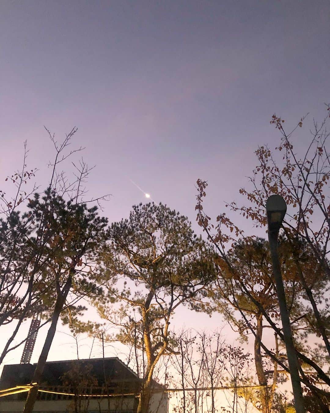 萩尾美聖さんのインスタグラム写真 - (萩尾美聖Instagram)「🌙」11月25日 4時53分 - misato_hagio