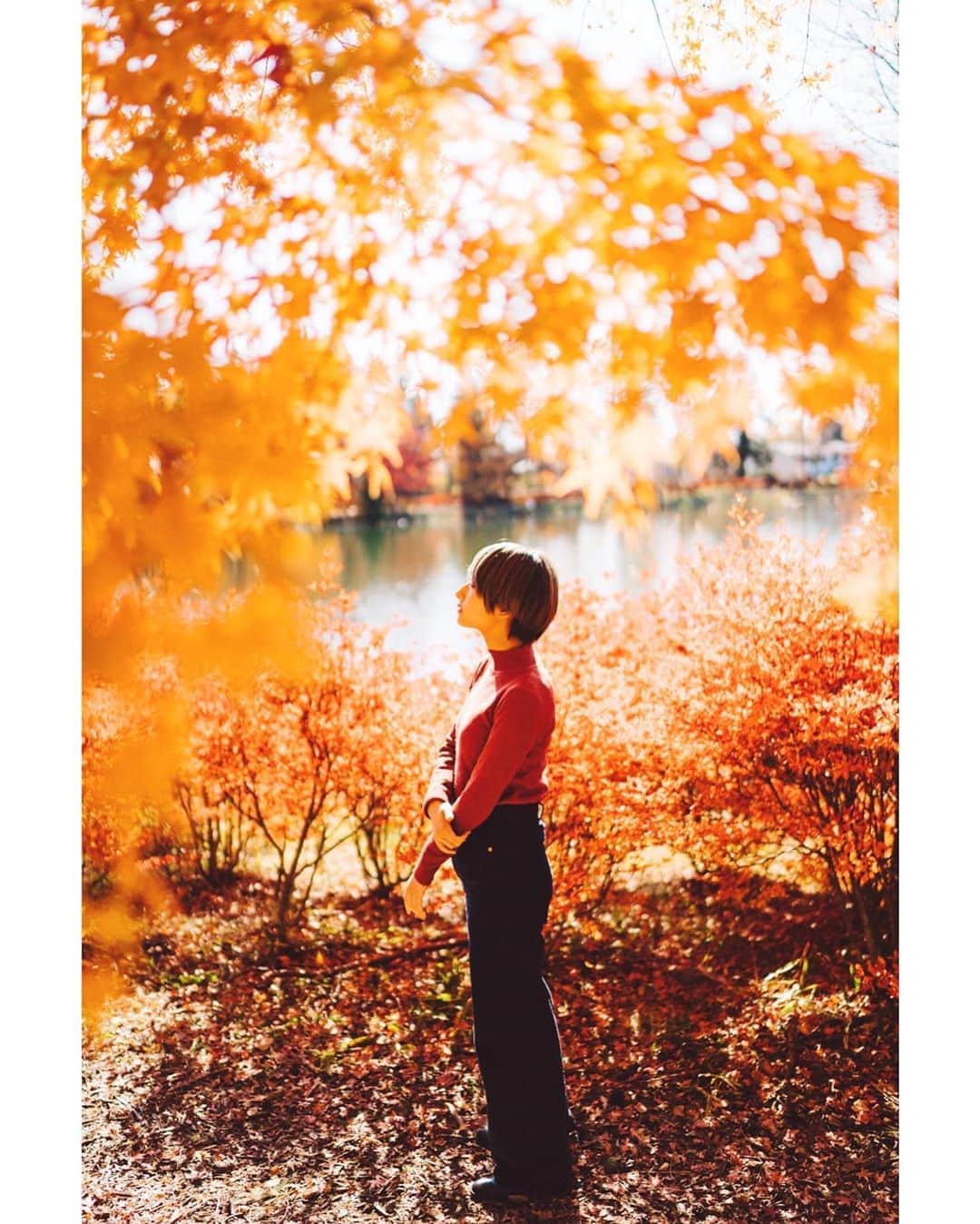 GENTAのインスタグラム：「Autumn colors🍁 #distagon」