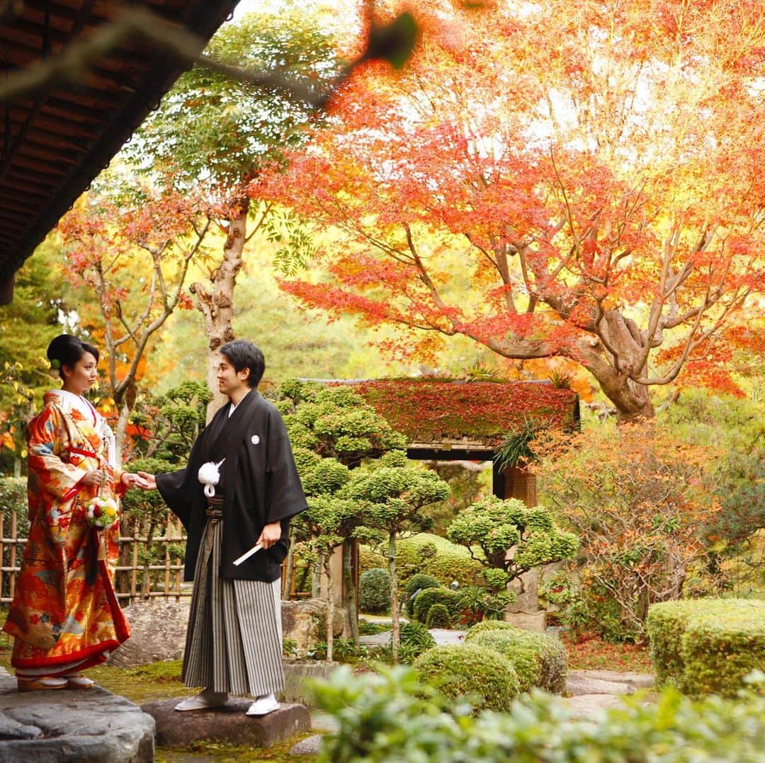 桜鶴苑のグルメインスタ