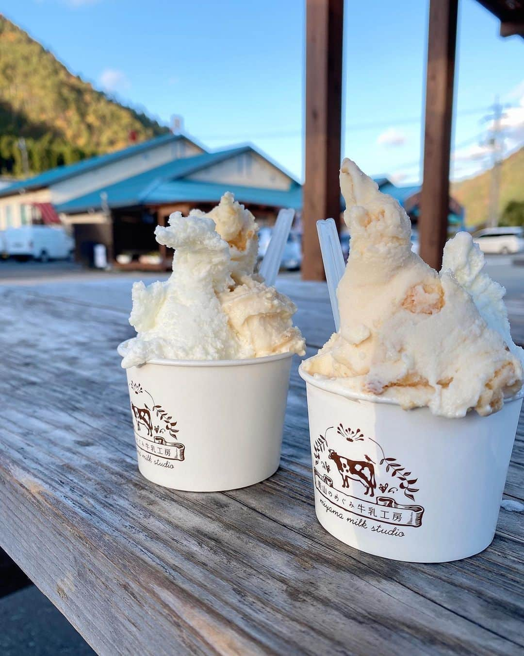 太田奈緒さんのインスタグラム写真 - (太田奈緒Instagram)「🥛🥛🥛 . . . 美山かやぶきの里に向かう手前にあった「美山のめぐみ 牛乳工房」で食べたジェラート😋 . 味も季節の味とか色んな味があって、「ミルク」と「たまごプリン」にしました！！ マネージャーさんと同じ組み合わせ🥰 . . 美味しかった〜」11月25日 15時35分 - tanao_official