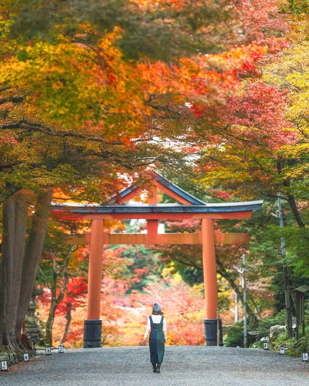 詩歩さんのインスタグラム写真 - (詩歩Instagram)「🍁🍁🍁﻿ ﻿ 滋賀・比叡山にある日吉大社へ紅葉狩りに。﻿ ﻿ グラデーションが美しかったから、まだまだ長く楽しめそうな感じ！﻿ こんなに紅葉がキレイな参道で、しかも日中に訪れたのに、人も少なくてゆっくり楽しめました。﻿ ﻿ この日吉大社の鳥居、よく見る鳥居と違うことに気づきましたか？😳﻿ これは「山王鳥居」と言って、上部に三角形の屋根が乗っているのが特徴。﻿ ﻿ 例えば東京赤坂にある日枝神社は日吉大社の分霊社なので、同じこの鳥居の形をしてます⛩﻿ ﻿ ﻿ ﻿ ﻿ 日吉大社は、2,000年以上前に崇神天皇によってつくられた、全国の日吉/日枝/山王神社の総本宮。﻿ ﻿ 平安京からみて表鬼門（北東）の方角にあるので、都を災いから守る「魔除け」の役割をもっている由緒ある神社です。﻿ ﻿ 境内には「まさる（魔が去る／勝る）」というお猿さんもいるんですよ🐒﻿ ﻿ ﻿ 🍁🍁🍁﻿ ﻿ ﻿ 滋賀の比叡山エリアは京都から電車でアクセス可能です🚃﻿ 京都の秋もいいけど、比叡山の秋もぜひお越し下さい😊﻿ ﻿ #HiyoshiShrine is located just next to #Kyoto. You can access here by train from Kyoto station. Come and see!﻿ ﻿ ﻿ ﻿ photo by @bessho_takahiro﻿ ﻿ ﻿ 📷22 Nov 2019﻿ 📍日吉大社／滋賀県　大津市﻿ 📍 Hiyoshi Shrine／Shiga Japan﻿ ﻿ ﻿ ﻿ ©詩歩/Shiho」11月25日 15時30分 - shiho_zekkei