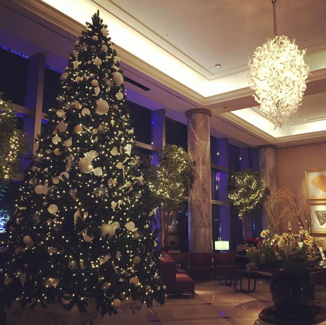 横浜ロイヤルパークホテルのインスタグラム：「クリスマスまであと1ヶ月🎅🏻 ホテル館内では、今年もクリスマスツリーとリースが登場しています！ みなとみらい周辺も一気に華やぎ、街中がきらめくこの季節。みなとみらいにお越しの際は、ぜひお立ち寄りくださいね🎄  #横浜ロイヤルパークホテル　#yokohamaroyalparkhotel #横浜 #yokohama #クリスマス #christmas #クリスマス #クリスマスツリー #christmastree #クリスマスイルミネーション #ホテル #hotel」