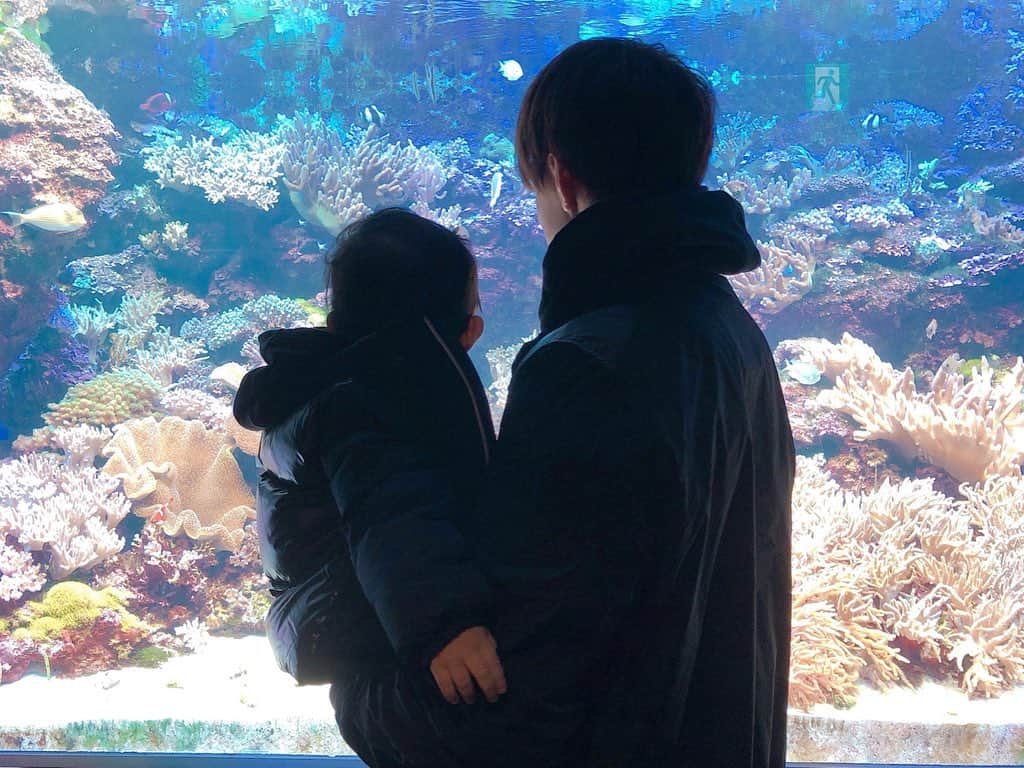 五十嵐圭さんのインスタグラム写真 - (五十嵐圭Instagram)「水族館。 #マリンピア日本海 #イルカショー #息子は2回目の水族館 #だいぶ歩けるようになりました #ただ全然手を繋いでくれません」11月25日 15時53分 - keiigarashi_official