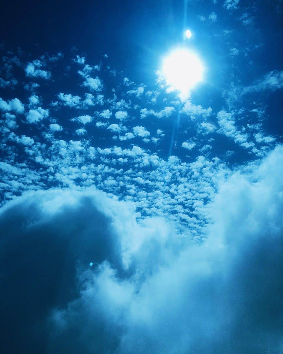 ダレノガレ明美さんのインスタグラム写真 - (ダレノガレ明美Instagram)「ロイヤルミルクティー じわるよね。 飛行機の揺れすごかったよ。 ロイヤルミルクティーが一生回ってた！ そして一口も飲めないまま終わりました🙄 雲はすごく綺麗でした☺️」11月25日 15時58分 - darenogare.akemi