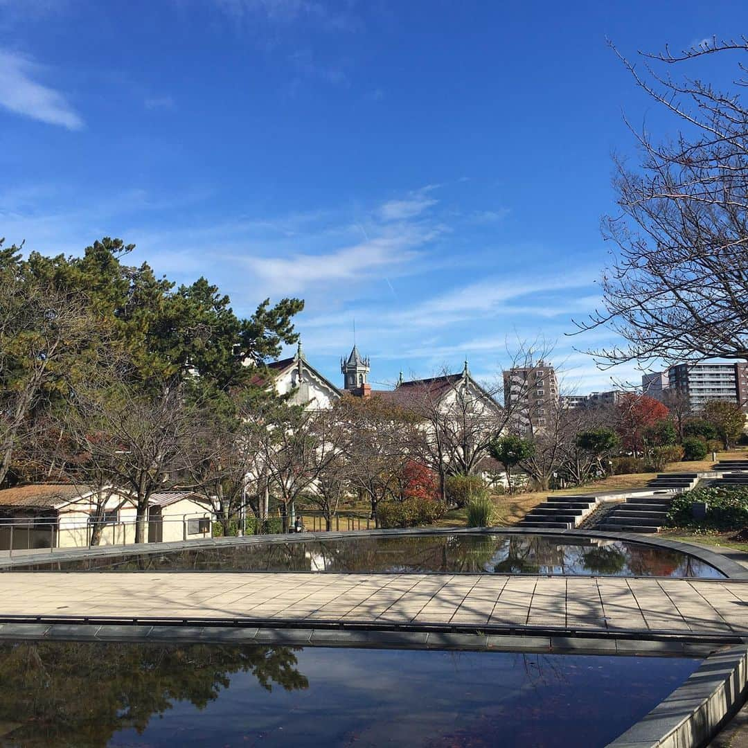 海津ゆうこさんのインスタグラム写真 - (海津ゆうこInstagram)「こんな天気だと昨日の青空が恋しくなります。  昨日は、りゅーとぴあでお仕事だったので 本番前に空中庭園を散策。 もう、秋も終わりのような景色でしたが、 青空に紅葉って映えますね。  #秋の空　#青空　#紅葉　#空中庭園 #りゅーとぴあ #お散歩　#秋の楽しみ #秋　#秋探し　#autumn #落ち葉 #instagood #instalike #instalife #instadaily #instapic #秋の風景 #小さい秋見つけた #時間の使い方 #timeismoney」11月25日 16時14分 - yuco310