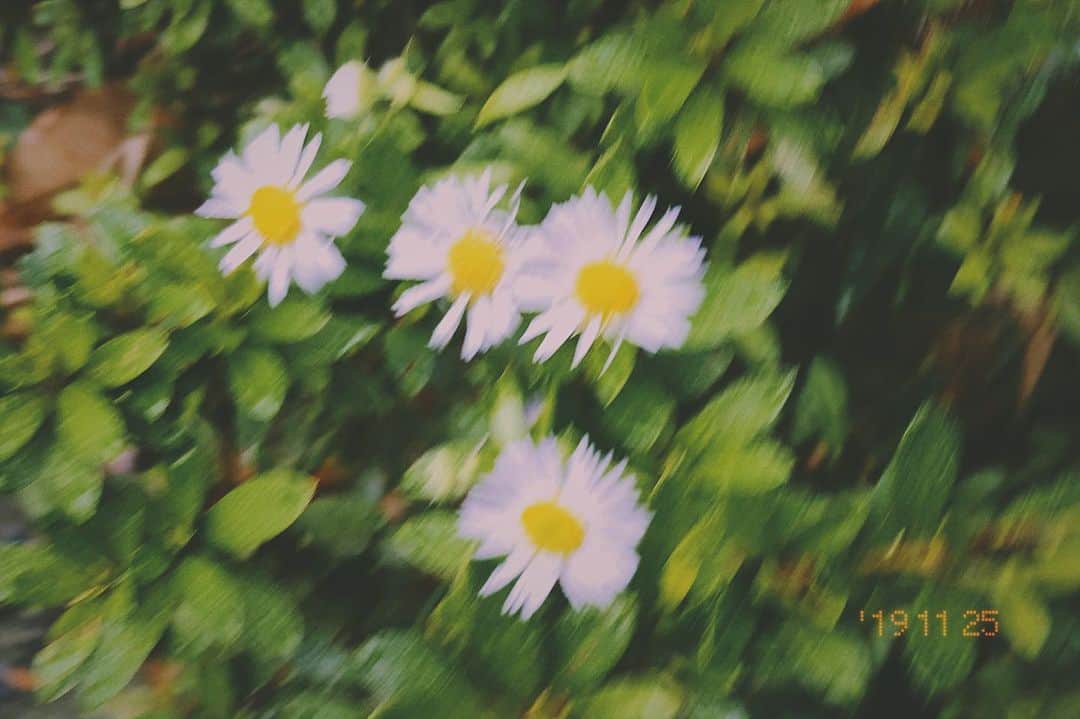 honoka のインスタグラム：「🤔」