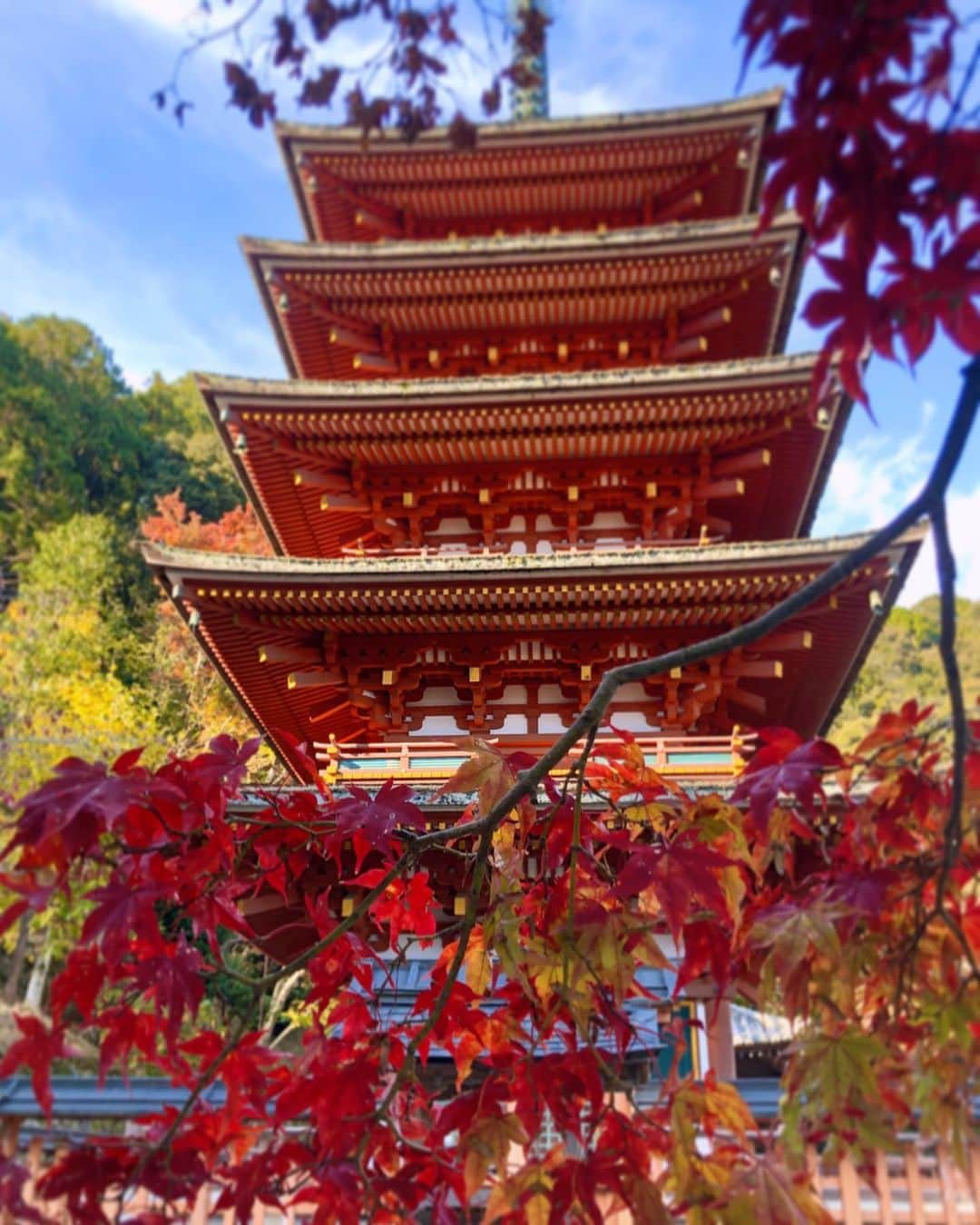 hama_aki_pppのグルメインスタ