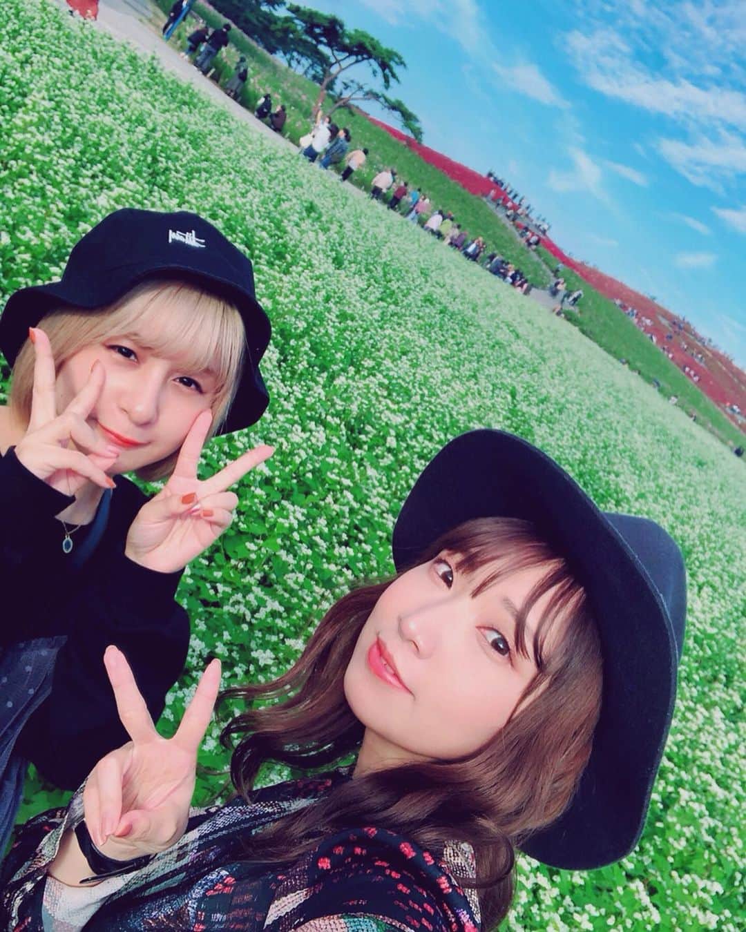 吉田有里のインスタグラム：「麻里奈さんと遠足2019🍁﻿ 先日、初めて#ひたち海浜公園 に麻里奈さんとお出かけしました！﻿ ﻿ 最初はくもり空☁️だったのですが﻿ 麻里奈さんがカメラを構える方向がすげー綺麗に晴れるという、、先輩天候まで操れるんだ、、、﻿ ﻿ コキアが見頃だったので、とっても綺麗でした！﻿ ﻿ 麻里奈さんの写真撮ろうと思ってたのですが﻿ 「ほら吉田！ここに立って！…はいオッケー！」﻿ と私の写真たくさん撮ってくださって😂﻿ (本当にセンスが良くて素敵な写真)﻿ ﻿ 一個前のポストや、ハロウィンのポストは﻿ その時のものです✌️✨﻿ まだまだあるのでちまちま載せよう🧡🧡﻿ ﻿ 麻里奈さん、出不精な吉田を﻿ こうやって色んなとこに連れてってくださって、本当に幸せ。好き。幸せ。好き。﻿ ずっとおしゃべりしまくりました。吉田のくだらない話をずっと聞いてくださいました。笑笑 だいすきです、、、、 ﻿ 遠出しても全く役に立たない後輩なのに﻿ (すぐ、分かんないです〜〜😰って言う)(使えない)﻿ ﻿ いやな顔１つせず優しいんです。﻿ あ〜〜すきです〜〜またどこか行きたいです〜〜(絶叫)﻿ ﻿ ﻿ #井上麻里奈 さん #ひたち海浜公園 #コキア #kokia」