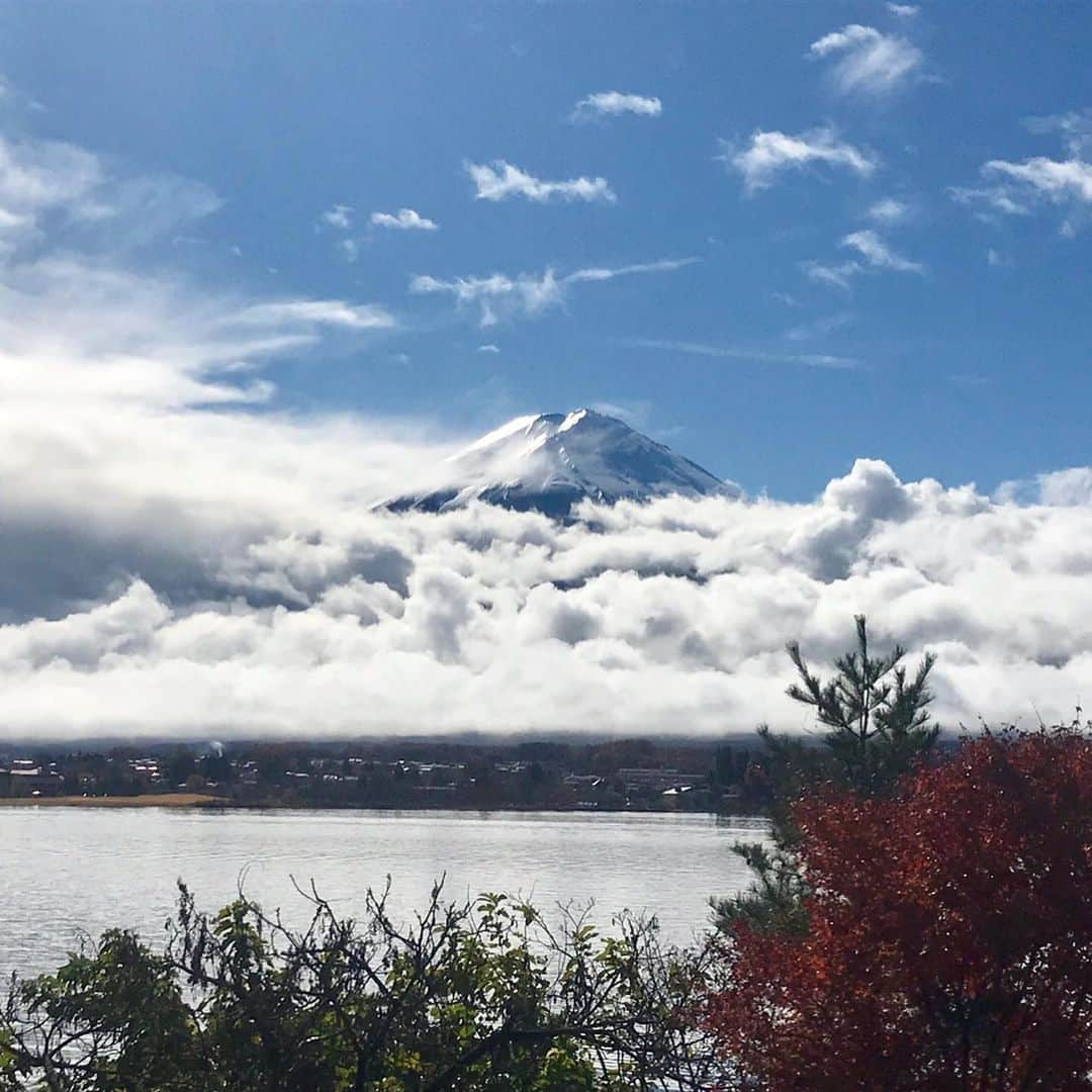 みかさんのインスタグラム写真 - (みかInstagram)「2019.11.25  おはようございます  今日のあさごはんは * ・富士山おにぎり ・だし巻き玉子 ・ブロッコリー&トマト ・柿、みかん ・信玄餅 *  昨日、無事に初フルマラソン 完走出来ました😭 今日は感動そのままに 富士山おにぎりに。 *  雨予定がスタート直前に止み、 その後は晴れちゃうという奇跡✨ 富士山マラソンなのに 富士山見られないのかーと 思ってたら20km地点で まさかの富士山登場〜！！ 感動しすぎて涙出そうに。 ※写真2枚目 *  序盤はわりといいペースで走れ、 これ行けちゃう？？ と思ってたけどさすが42.195km 最後の最後、ラスト5キロの 長いこと長いこと😭 ボロボロの身体を精神力だけで 前に進めてる状態。 ほんと辛かった💦 歩いちゃうかなーと思ってる ところに応援の家族&友達家族の 姿が見えて、これは止まれない！ とほんといろいろ絞り出した😂 *  4:55:10（ネットタイム4:47:01） と目標の5時間切り達成は なかなかじゃないかな、と 自分を褒めました。 * マラソンは個人競技ながら大会だと みんなで走ってるのが すごい心強かったし沿道の応援にも力をもらえました。 *  身体の方はとりあえず 足痛いけどなんとかなりそうな 感じ。  今週もがんばりまーす！ *  #あさごはん#朝ごはん#おにぎり#富士山おにぎり#重箱ごはん#和食#おうちごはん#おうち和ごはん#松屋漆器店」11月25日 8時37分 - mikasko